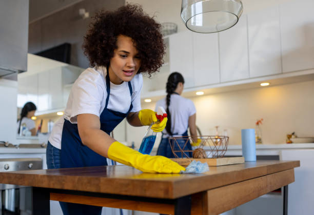 kitchen cleaning services abu dhabi